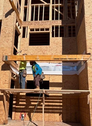 Design and Entitlement 1